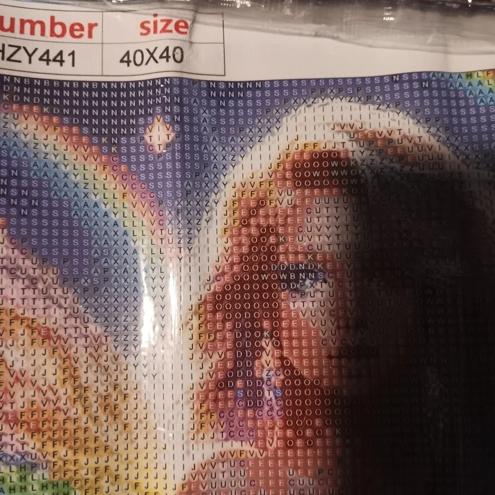 Colorful Rainbow Fairy Diamond Painting Kit 40x40